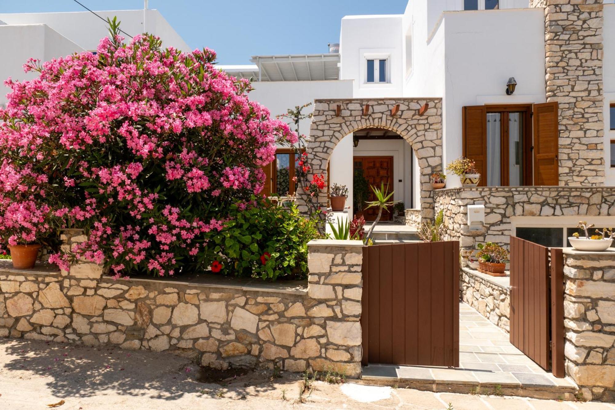 Aparthotel Althea Paros Nausa Zewnętrze zdjęcie